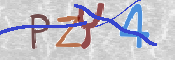 Gambar CAPTCHA