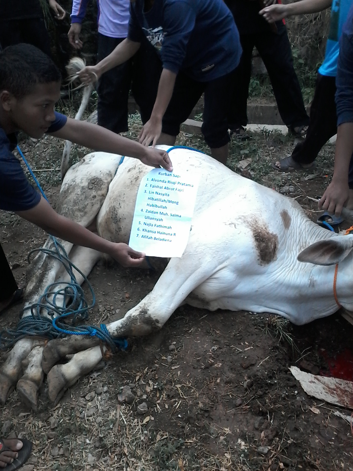 Hari Raya Idul Adha di SMPIT Al Huda